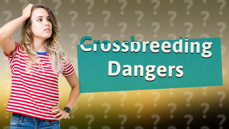 Crossbreeding Dangers