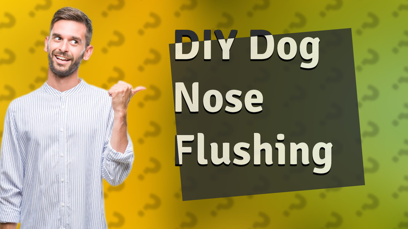DIY Dog Nose Flushing