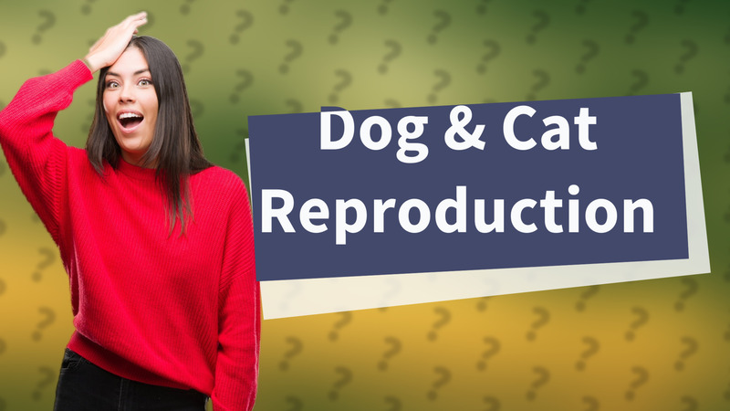 Dog & Cat Reproduction