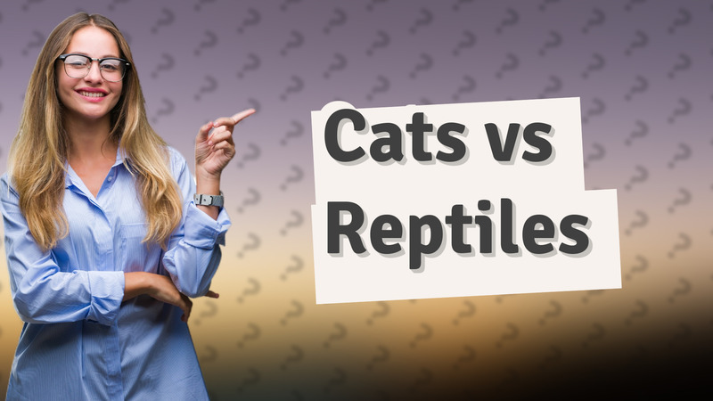 Cats vs Reptiles