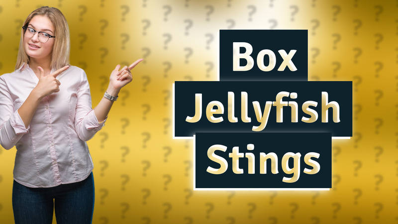 Box Jellyfish Stings