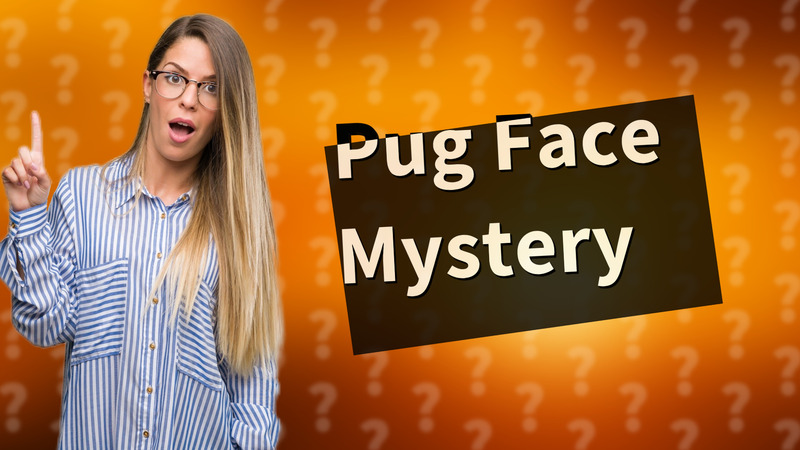 Pug Face Mystery