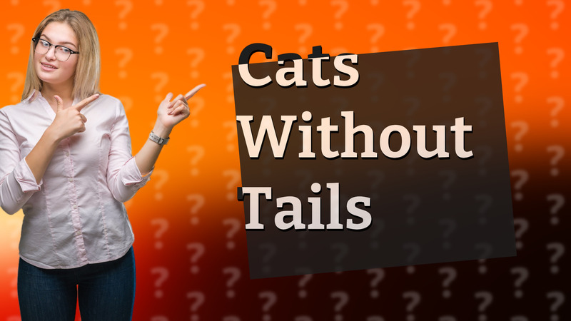 Cats Without Tails