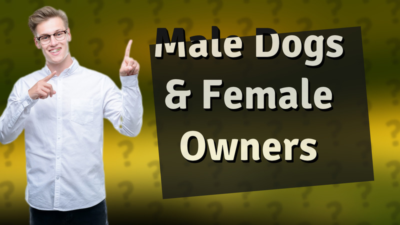 Male Dogs & Female Owners