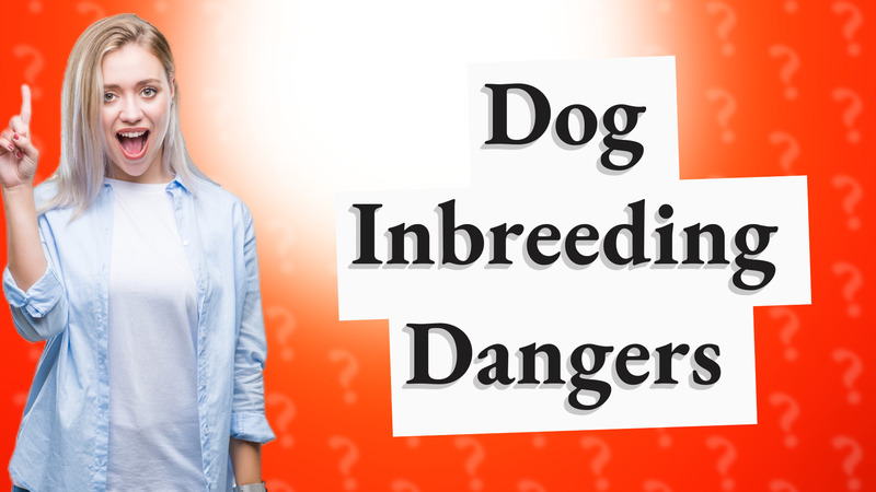 Dog Inbreeding Dangers