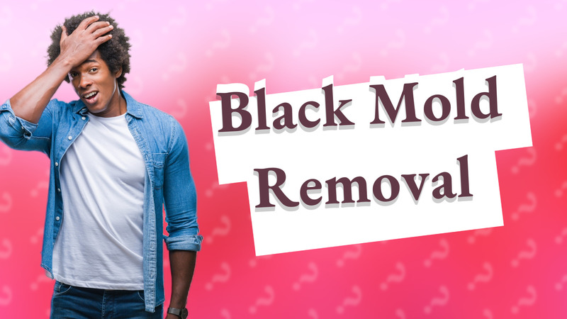 Black Mold Removal