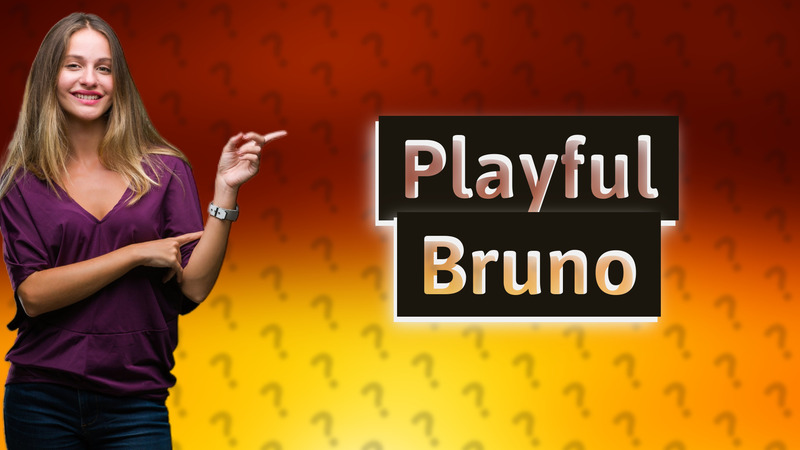 Playful Bruno