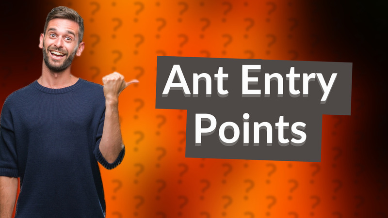 Ant Entry Points
