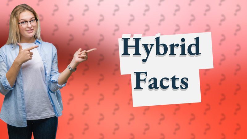 Hybrid Facts