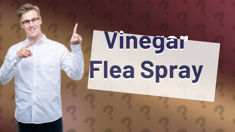 Vinegar Flea Spray