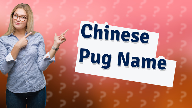 Chinese Pug Name