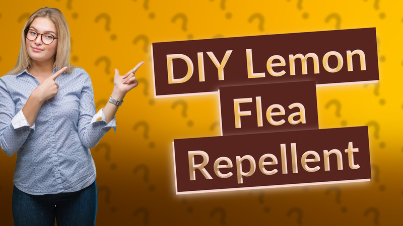 DIY Lemon Flea Repellent