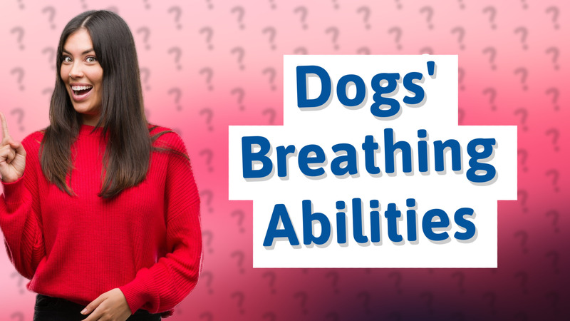 Dogs' Breathing Abilities