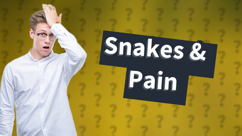 Snakes & Pain