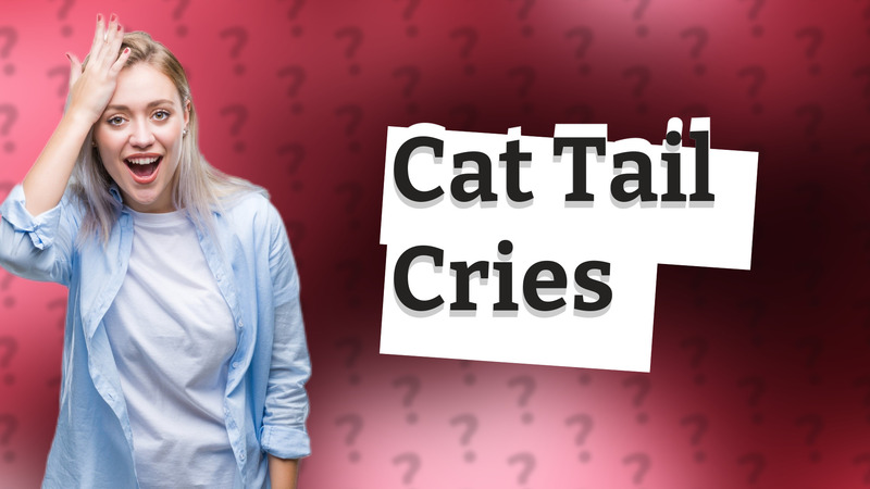 Cat Tail Cries