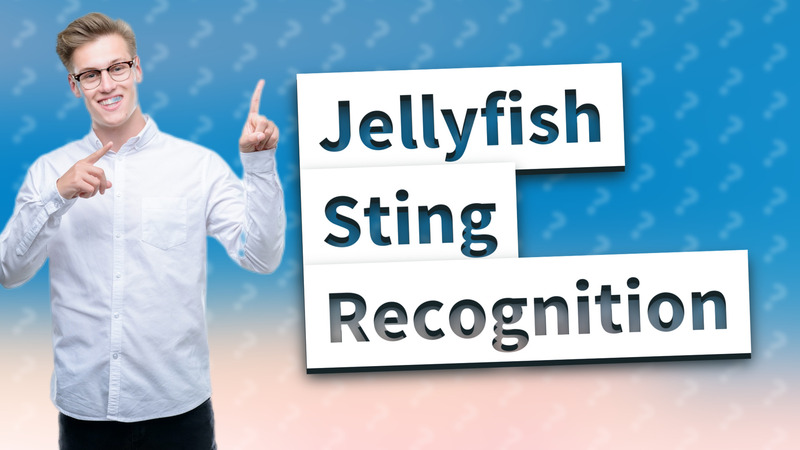 Jellyfish Sting Recognition