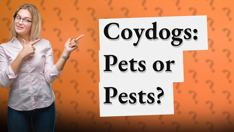 Coydogs: Pets or Pests?