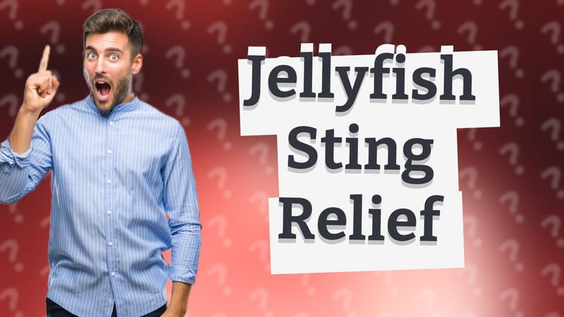 Jellyfish Sting Relief