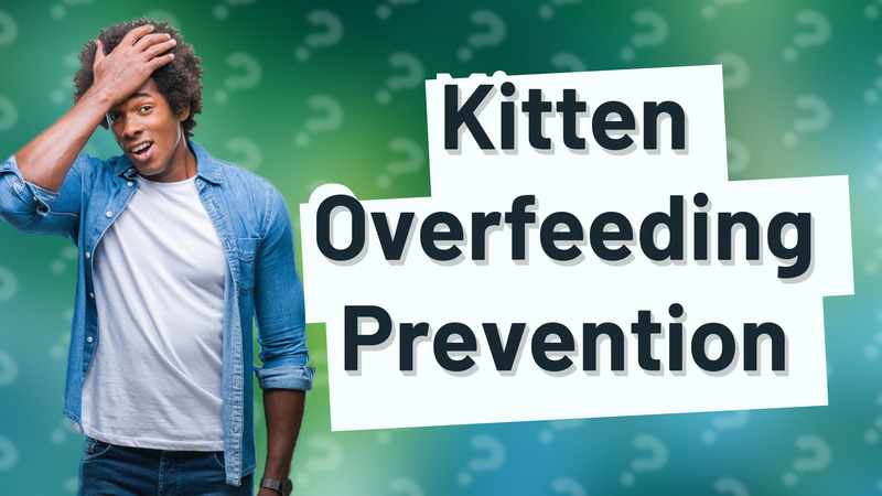 Kitten Overfeeding Prevention