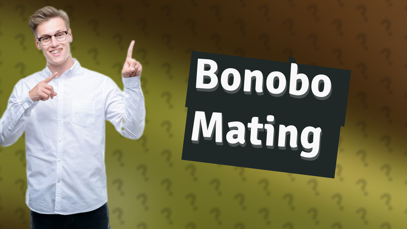 Bonobo Mating