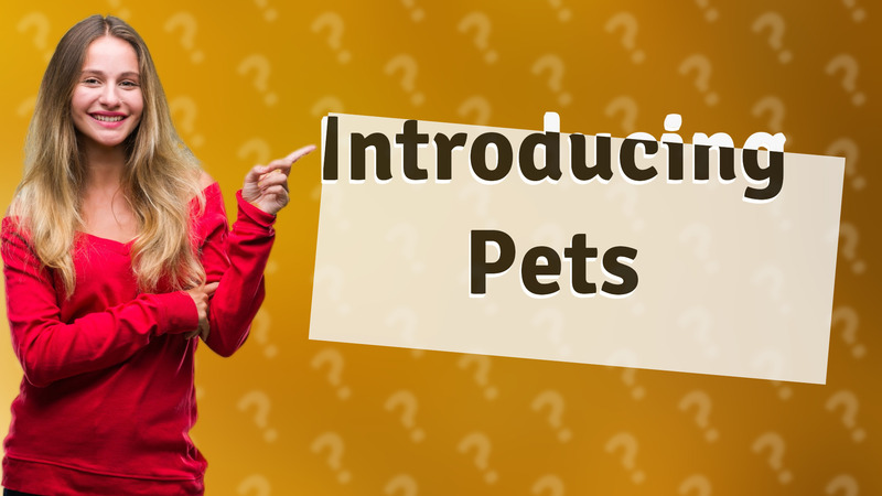 Introducing Pets