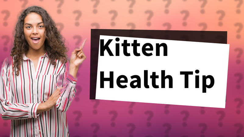 Kitten Health Tip