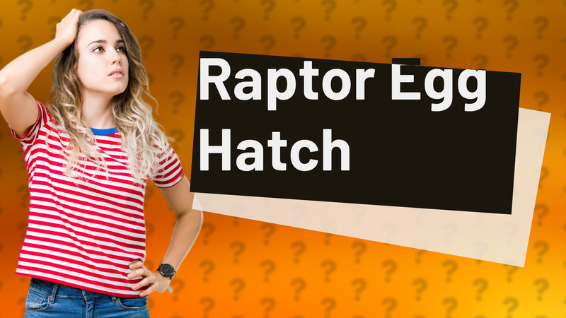 Raptor Egg Hatch