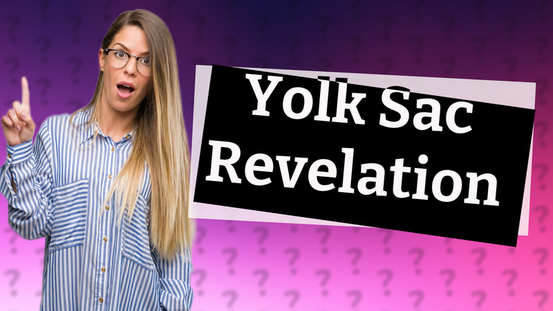 Yolk Sac Revelation