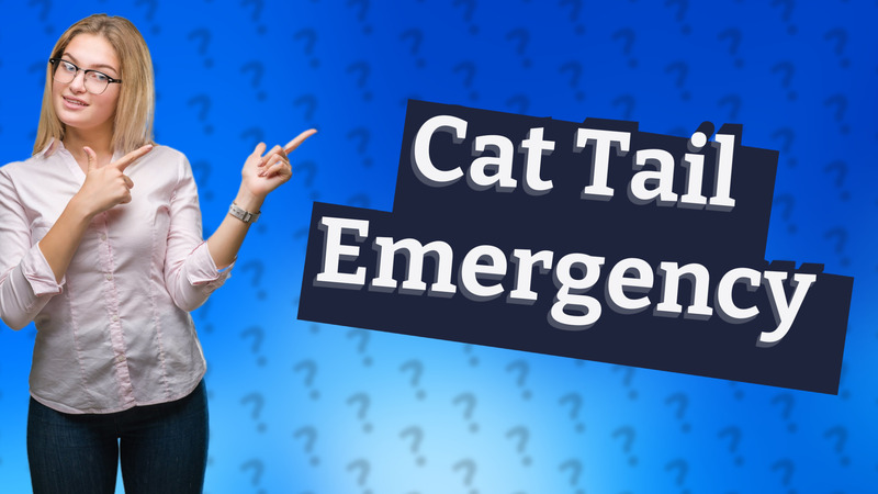Cat Tail Emergency
