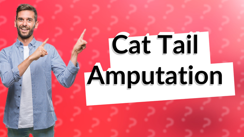 Cat Tail Amputation