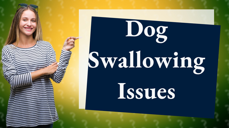 Dog Swallowing Issues