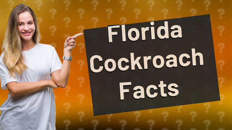 Florida Cockroach Facts
