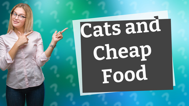 Cats and Cheap Food