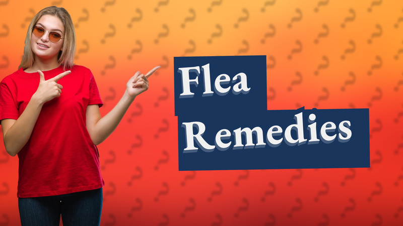 Flea Remedies
