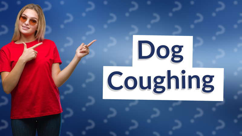 Dog Coughing