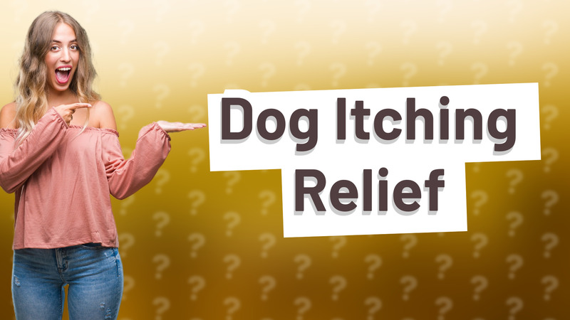 Dog Itching Relief