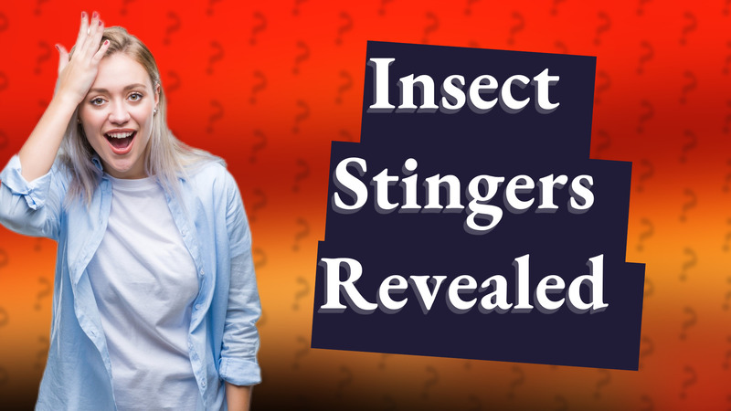 Insect Stingers Revealed