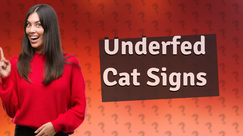 Underfed Cat Signs