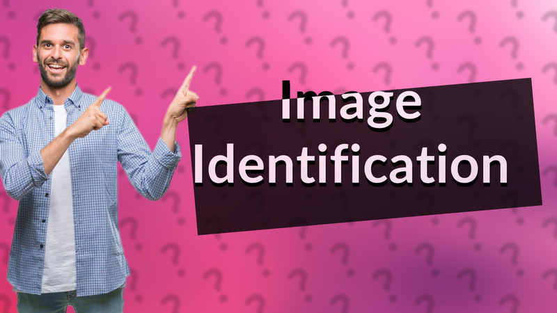 Image Identification