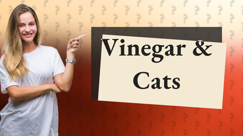 Vinegar & Cats