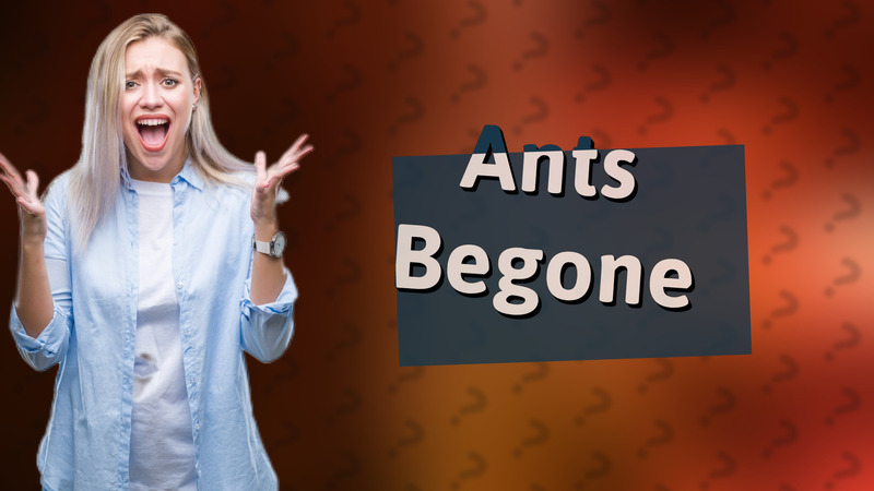 Ants Begone