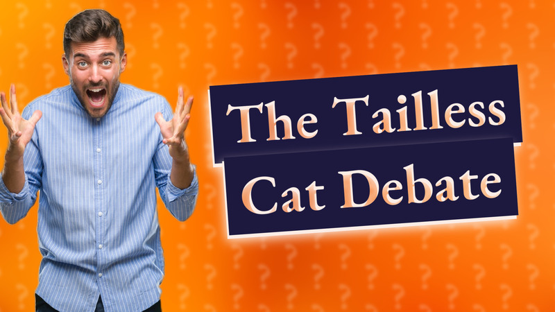 The Tailless Cat Debate