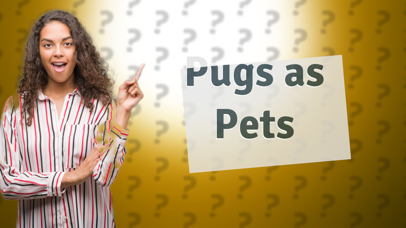 Pugs as Pets