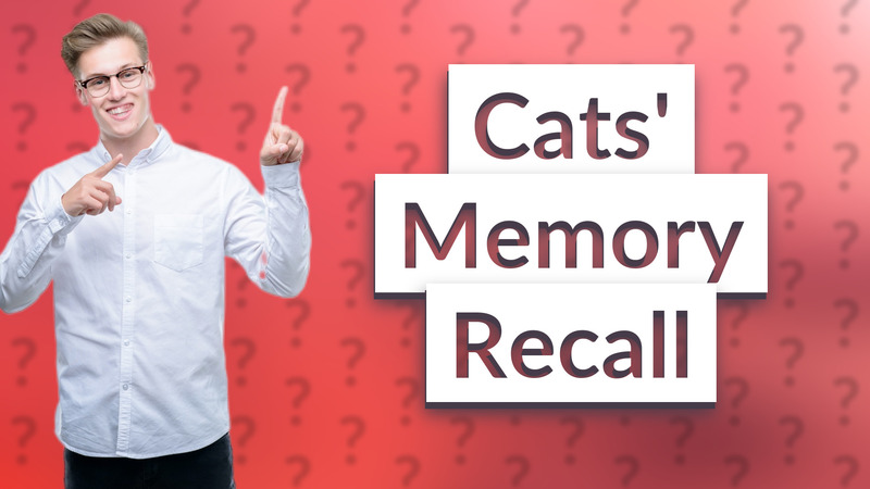 Cats' Memory Recall