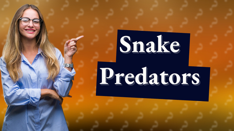 Snake Predators