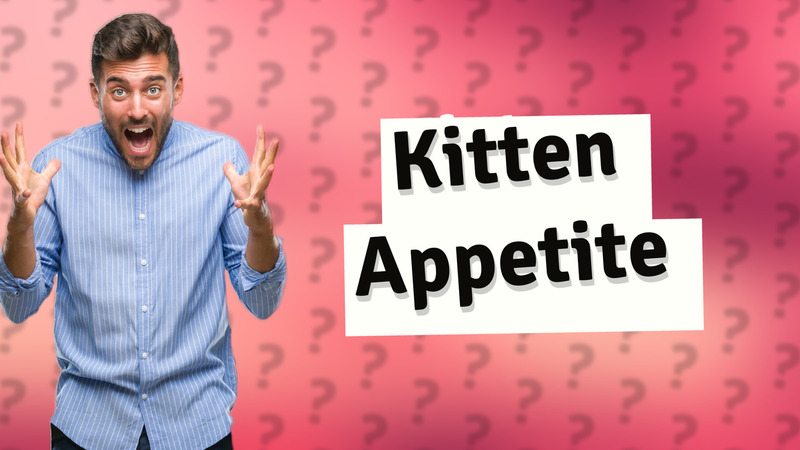 Kitten Appetite