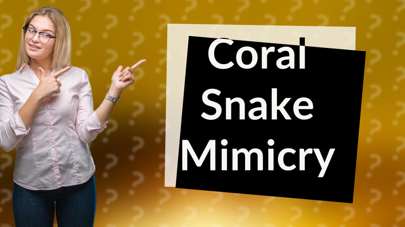 Coral Snake Mimicry