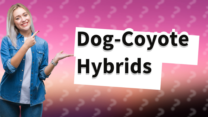 Dog-Coyote Hybrids