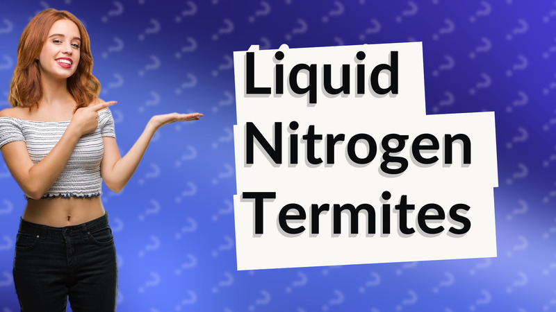 Liquid Nitrogen Termites