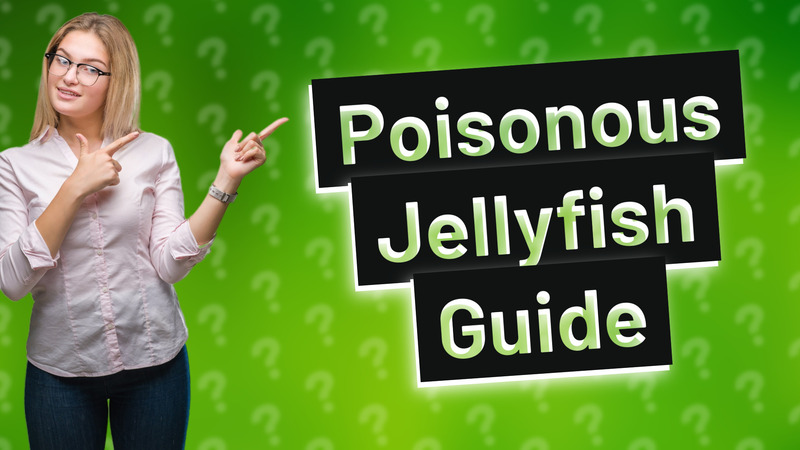 Poisonous Jellyfish Guide